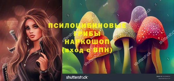 хмурый Гусиноозёрск