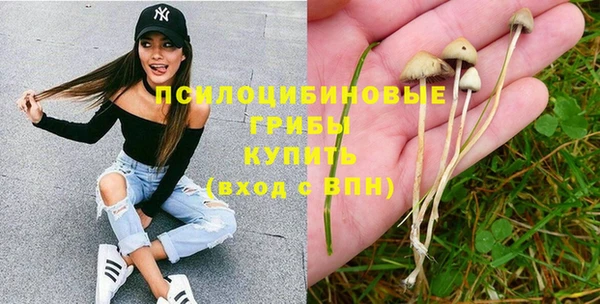 прущие крисы Гусь-Хрустальный