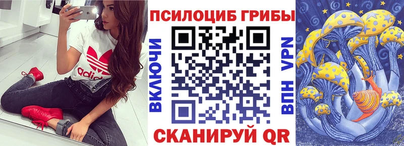 Галлюциногенные грибы GOLDEN TEACHER  купить   Димитровград 