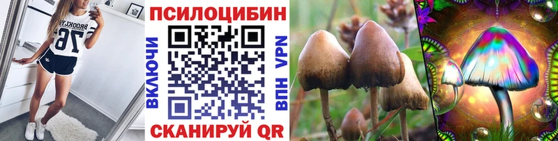 Галлюциногенные грибы MAGIC MUSHROOMS Димитровград